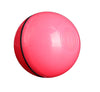 LED Laser Rolling Cat Toy Ball – Electronic Interactive Pet Fun
