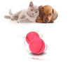 LED Laser Rolling Cat Toy Ball – Electronic Interactive Pet Fun