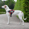 Personalized Pet Harness – Breathable Reflective No-Pull Dog Harness with Custom Patch