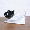 Cat Double Bowl | Elevated Tilted Cat Food & Water Bowls for Cervical Spine Protection