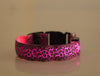 LED Light Dog Collar – Adjustable Nylon Leopard Style Pet Collar for Safety