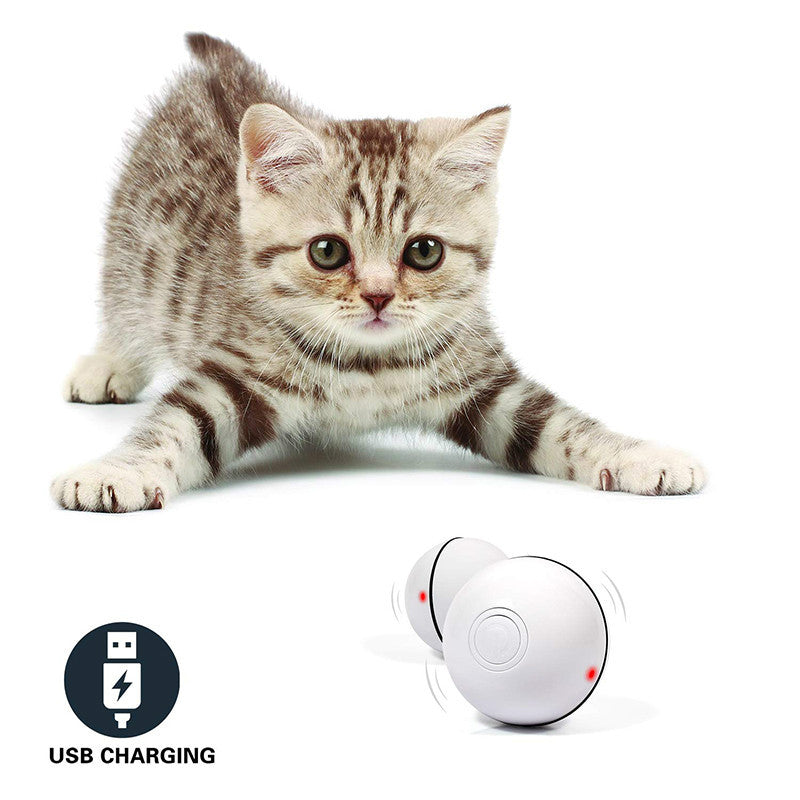 LED Laser Rolling Cat Toy Ball – Electronic Interactive Pet Fun