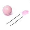 LED Laser Rolling Cat Toy Ball – Electronic Interactive Pet Fun