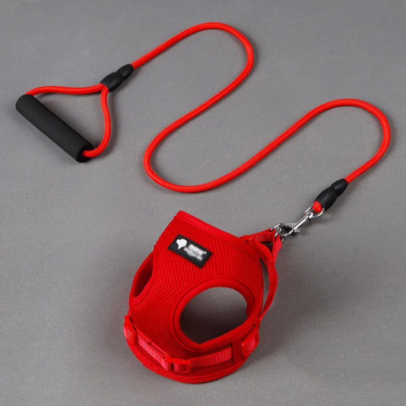 Adjustable Dog Leash & Collar Set – Durable & Comfortable