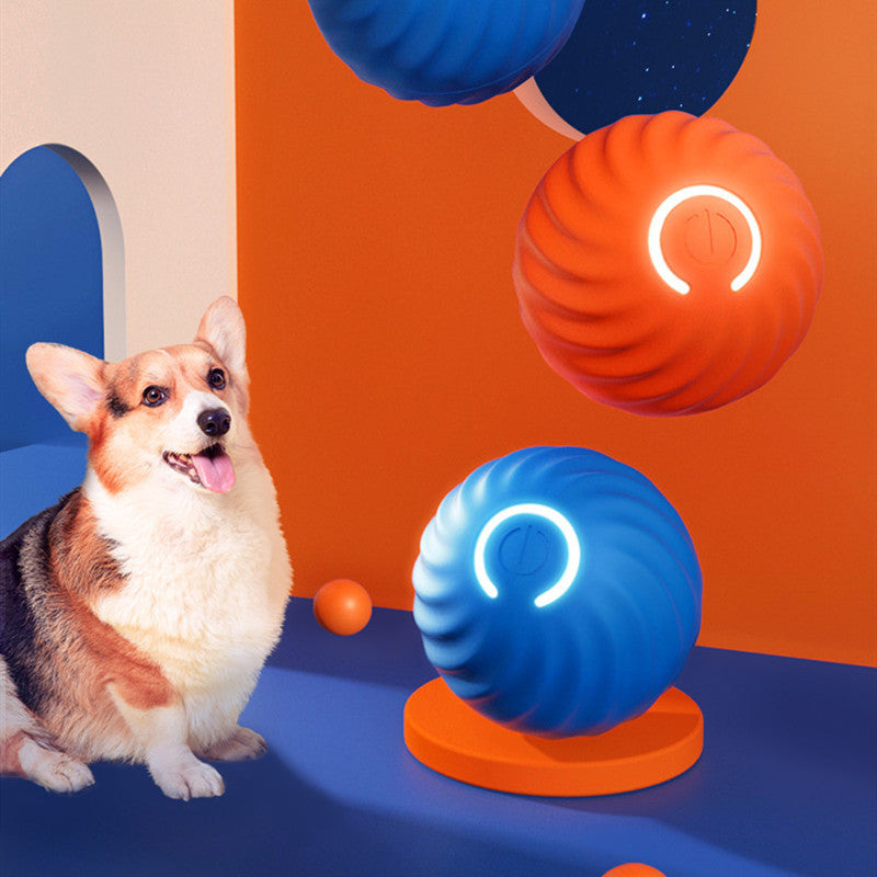 Durable Rubber Dog Ball Toy – Bite Resistant Chew Toy for Puppies & Training