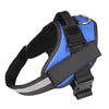Personalized Pet Harness – Breathable Reflective No-Pull Dog Harness with Custom Patch