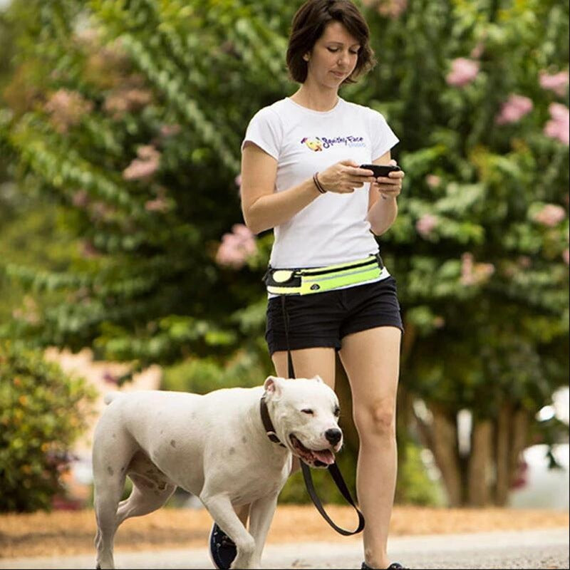 Hands-Free Dog Leash for Large Dogs – Shock Absorbing Bungee Waist Belt with Accessories