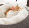 Luxury Pet Bed – Soft Washable Dog & Cat Bed for Comfort & Sleep