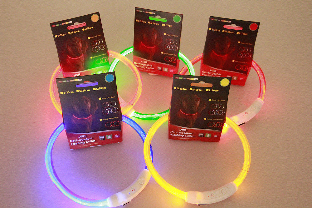 Safety LED Dog Collar – Flashing Neon USB Rechargeable Light-Up Pet Collar