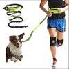 Hands-Free Dog Leash for Large Dogs – Shock Absorbing Bungee Waist Belt with Accessories