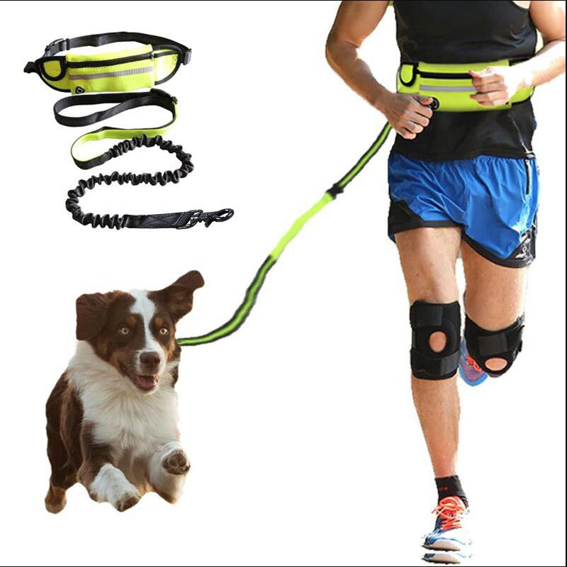 Hands-Free Dog Leash for Large Dogs – Shock Absorbing Bungee Waist Belt with Accessories