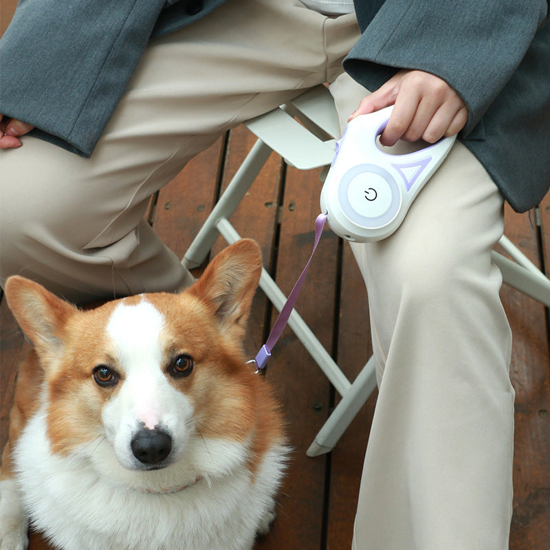 Retractable Dog Leash with Collar – Automatic Pet Lead for Small & Medium Dogs