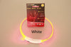 Safety LED Dog Collar – Flashing Neon USB Rechargeable Light-Up Pet Collar