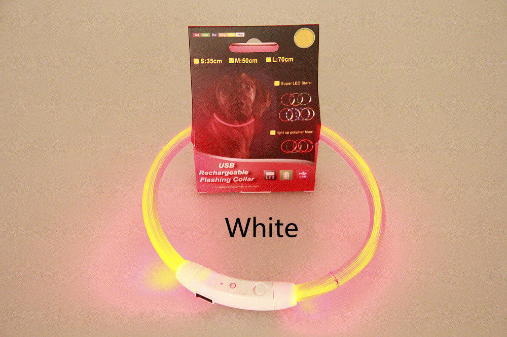 Safety LED Dog Collar – Flashing Neon USB Rechargeable Light-Up Pet Collar