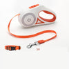 Retractable Dog Leash with Collar – Automatic Pet Lead for Small & Medium Dogs