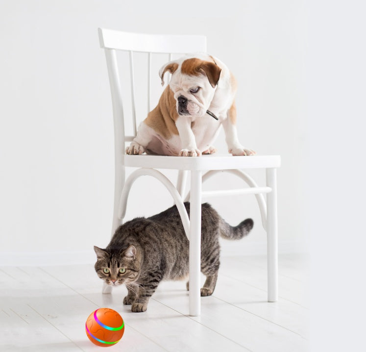 Intelligent Cat Ball Toy – USB Automatic Self-Rotating Interactive Play Ball