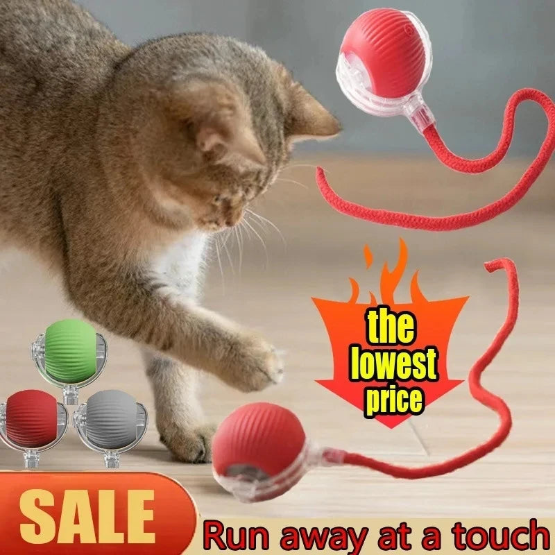 Rechargeable Interactive Rolling Ball Toy for Dogs & Cats