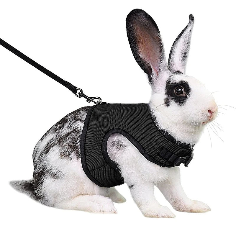 Breathable Rabbit Harness & Leash Set – Multi-Color Adjustable Vest Carrier