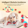 Rechargeable Interactive Rolling Ball Toy for Dogs & Cats