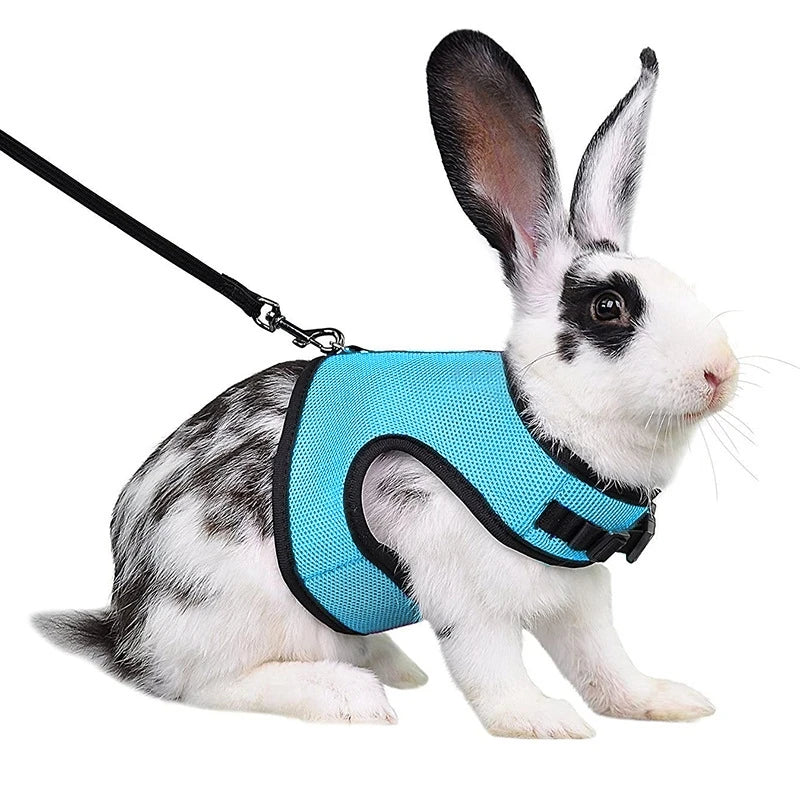Breathable Rabbit Harness & Leash Set – Multi-Color Adjustable Vest Carrier