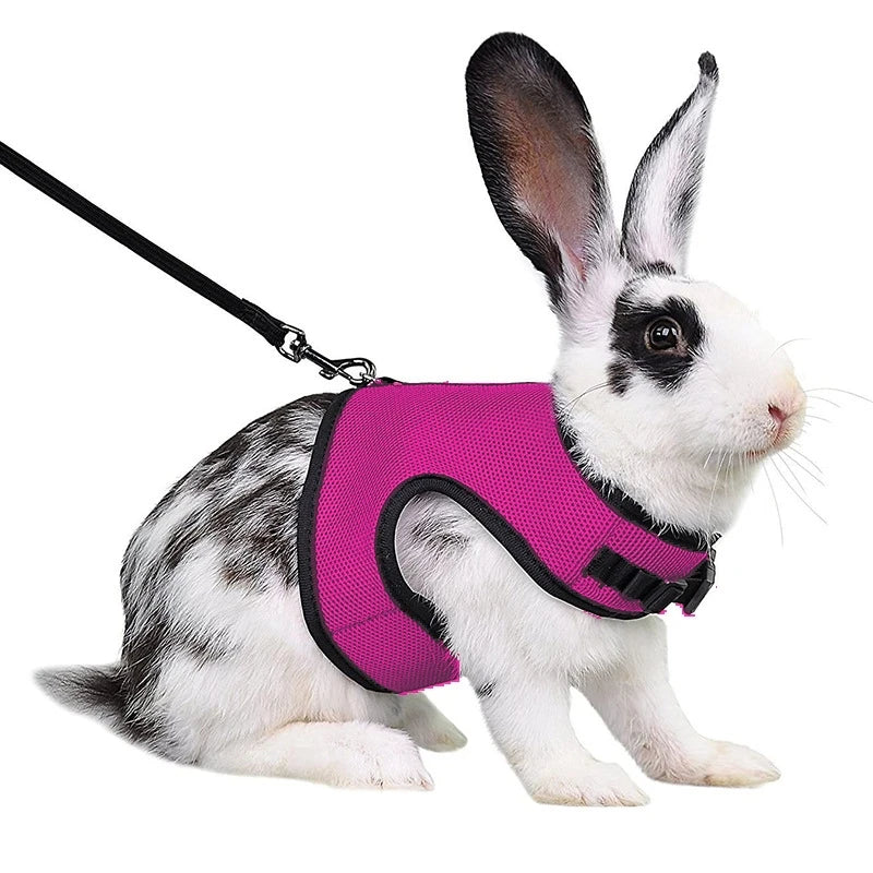 Breathable Rabbit Harness & Leash Set – Multi-Color Adjustable Vest Carrier