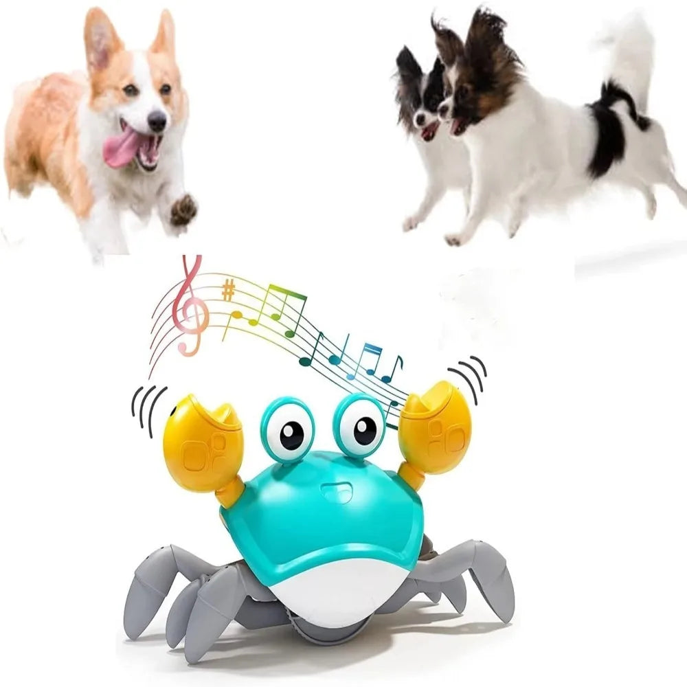 Interactive Dancing Crab Toy with Music for Dogs & Cats