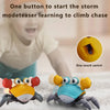 Interactive Dancing Crab Toy with Music for Dogs & Cats