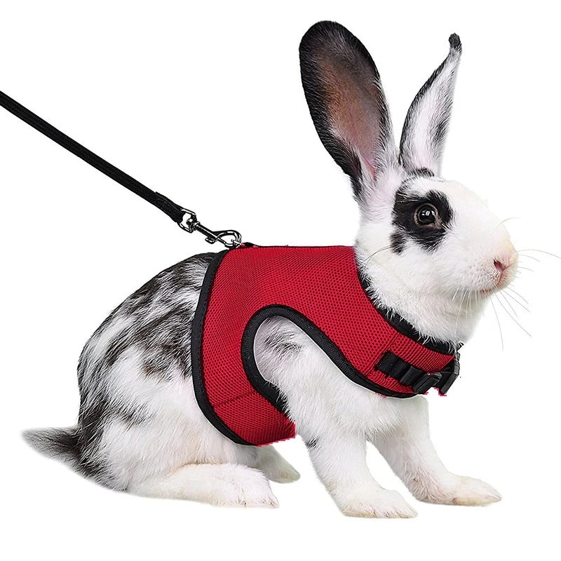 Breathable Rabbit Harness & Leash Set – Multi-Color Adjustable Vest Carrier