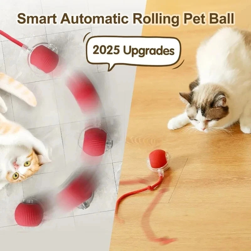Rechargeable Interactive Rolling Ball Toy for Dogs & Cats