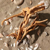 Driftwood Tree Trunk Ornament – 7–26CM Aquarium & Reptile Decor