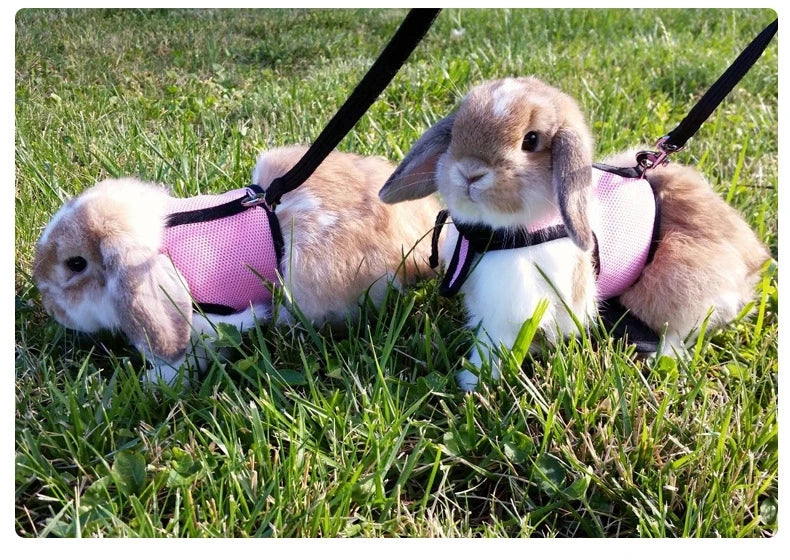 Breathable Rabbit Harness & Leash Set – Multi-Color Adjustable Vest Carrier