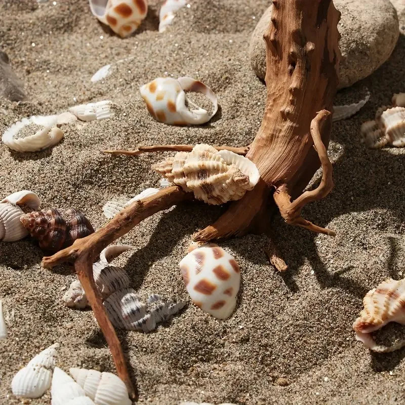 Driftwood Tree Trunk Ornament – 7–26CM Aquarium & Reptile Decor