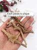 Driftwood Tree Trunk Ornament – 7–26CM Aquarium & Reptile Decor