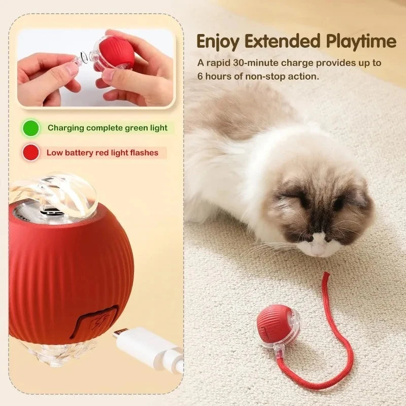 Rechargeable Interactive Rolling Ball Toy for Dogs & Cats