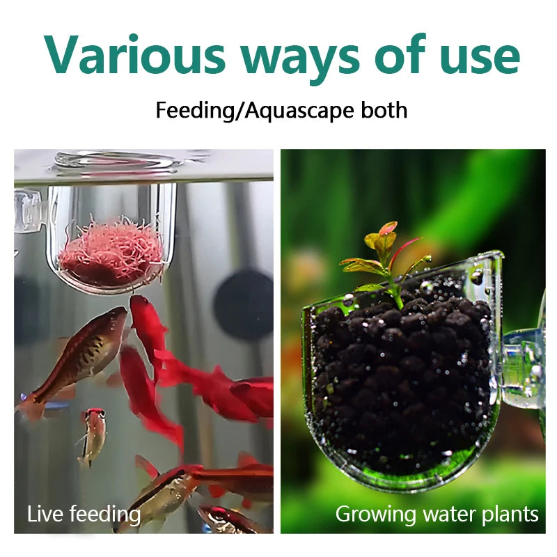 Acrylic Aquarium Plant Cup – Suction Holder Pot for Aquatic Plants