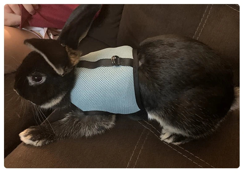 Breathable Rabbit Harness & Leash Set – Multi-Color Adjustable Vest Carrier