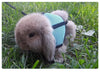 Breathable Rabbit Harness & Leash Set – Multi-Color Adjustable Vest Carrier