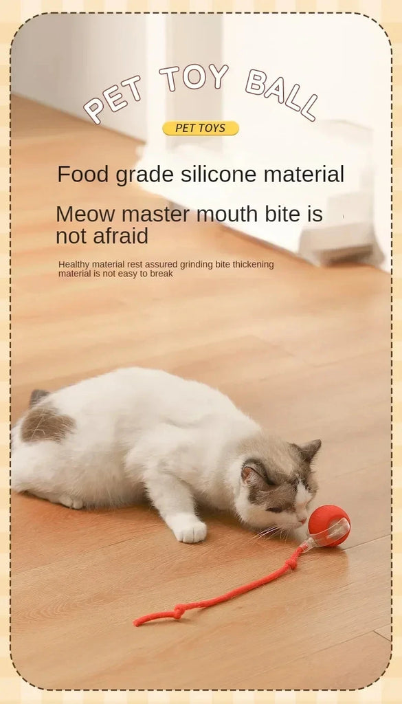 Rechargeable Interactive Rolling Ball Toy for Dogs & Cats
