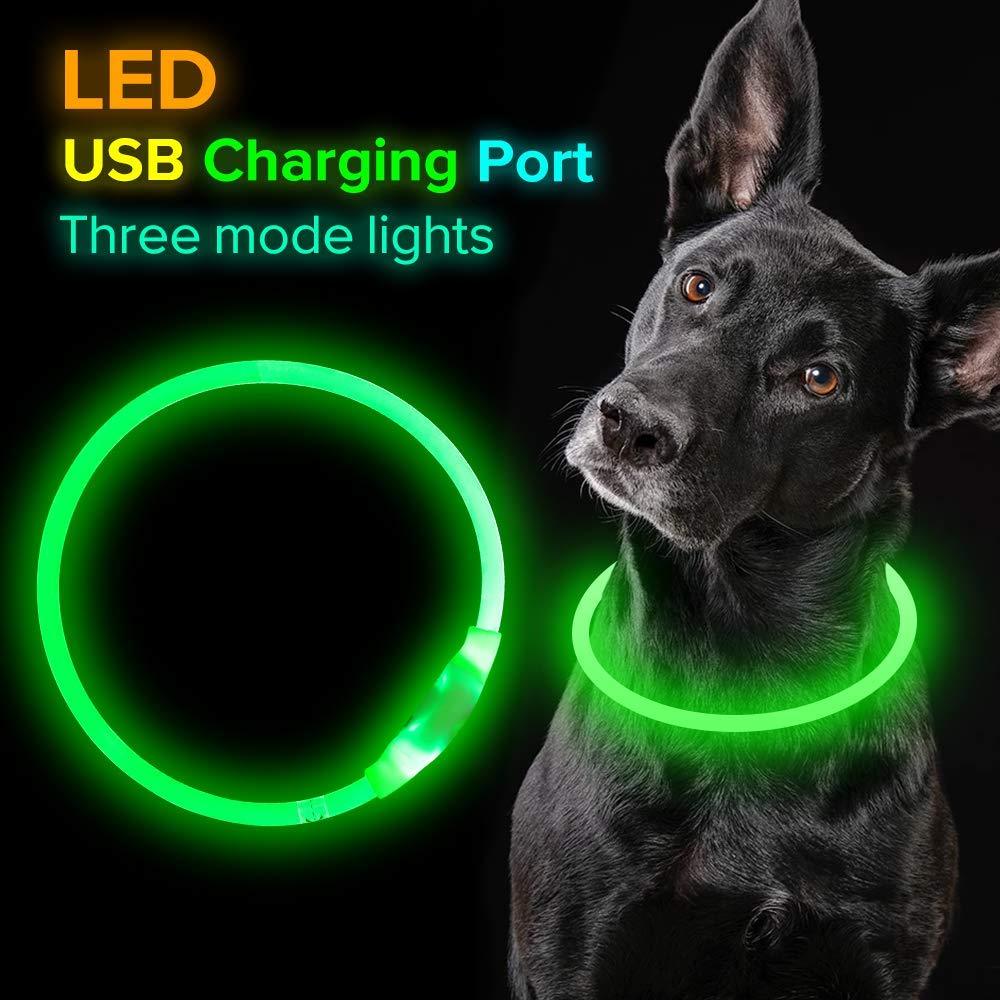 Safety LED Dog Collar – Flashing Neon USB Rechargeable Light-Up Pet Collar
