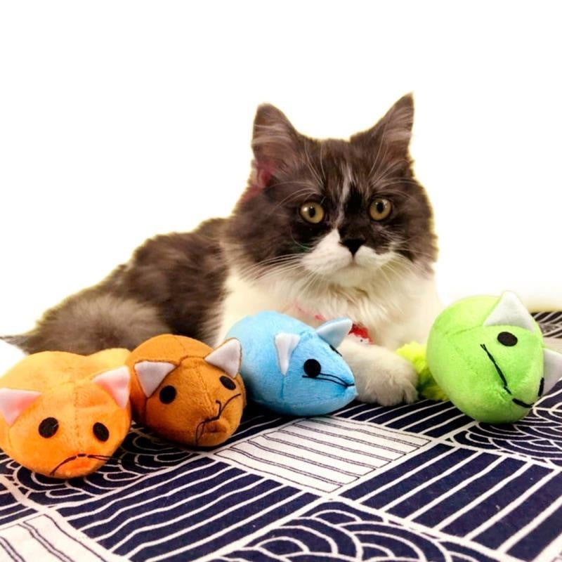 Interactive Long Tail Mouse Cat Toy – Funny Training & Playing Pet Toy