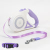 Retractable Dog Leash with Collar – Automatic Pet Lead for Small & Medium Dogs