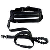 Hands-Free Dog Leash for Large Dogs – Shock Absorbing Bungee Waist Belt with Accessories