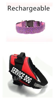 LED Light Dog Collar – Adjustable Nylon Leopard Style Pet Collar for Safety