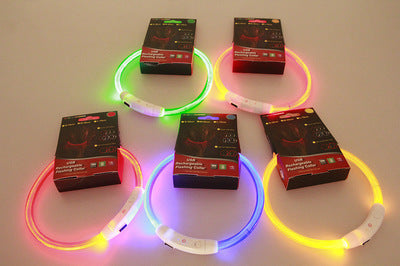 Safety LED Dog Collar – Flashing Neon USB Rechargeable Light-Up Pet Collar